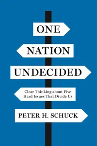 One Nation Undecided_cover