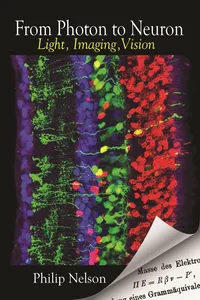 From Photon to Neuron_cover