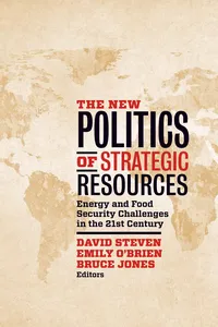 The New Politics of Strategic Resources_cover