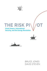 The Risk Pivot_cover