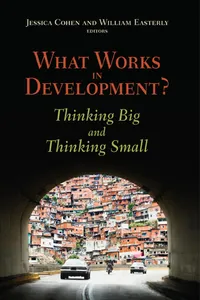 What Works in Development?_cover
