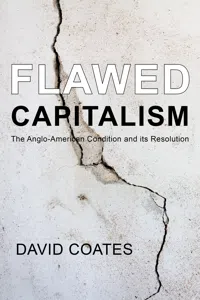 Flawed Capitalism_cover