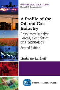 A Profile of the Oil and Gas Industry, Second Edition_cover