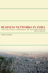Business Networks in Syria_cover