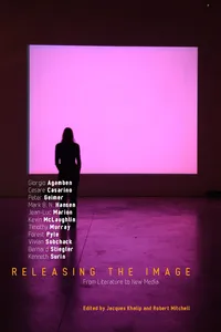 Releasing the Image_cover