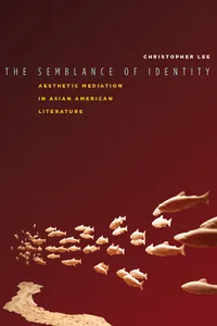 The Semblance of Identity_cover