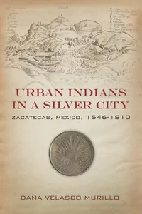 Urban Indians in a Silver City_cover