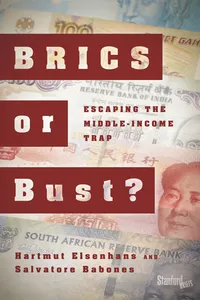 BRICS or Bust?_cover