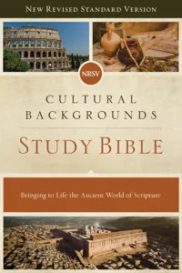 NRSV, Cultural Backgrounds Study Bible_cover