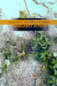 Concrete and Wild Carrot_cover