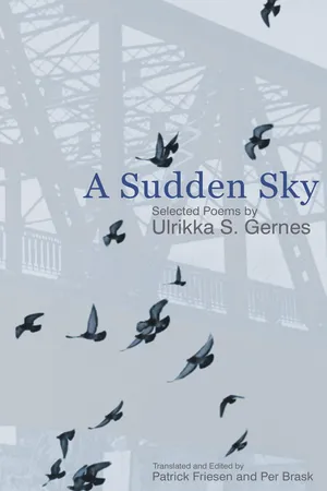 A Sudden Sky