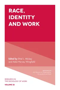 Race, Identity and Work_cover
