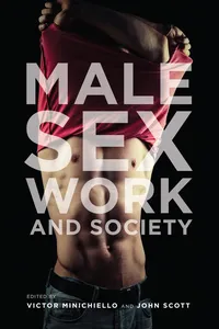 Male Sex Work and Society_cover