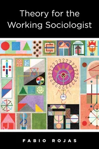 Theory for the Working Sociologist_cover