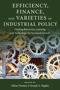 Efficiency, Finance, and Varieties of Industrial Policy_cover