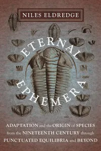 Eternal Ephemera_cover