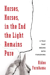 Horses, Horses, in the End the Light Remains Pure_cover