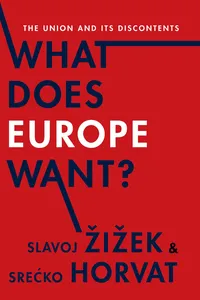 What Does Europe Want?_cover