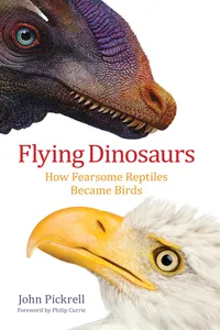 Flying Dinosaurs_cover