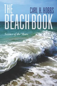 The Beach Book_cover