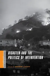 Disaster and the Politics of Intervention_cover