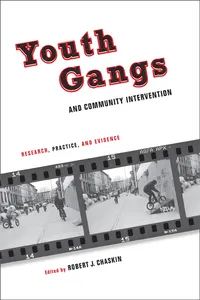 Youth Gangs and Community Intervention_cover