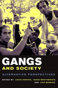 Gangs and Society_cover