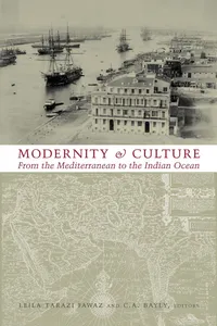 Modernity and Culture_cover