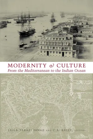 Modernity and Culture