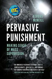 Pervasive Punishment_cover