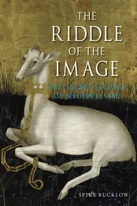 The Riddle of the Image_cover