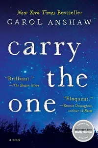 Carry the One_cover