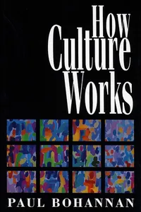 How Culture Works_cover