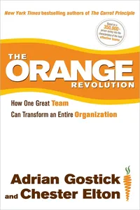 The Orange Revolution_cover