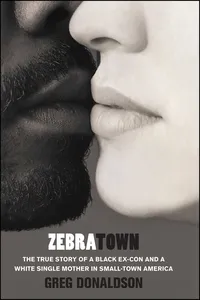 Zebratown_cover