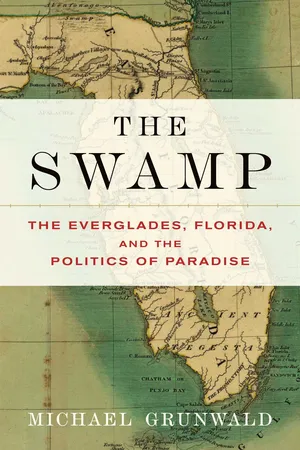 The Swamp