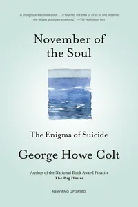 November of the Soul_cover