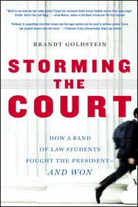 Storming the Court_cover