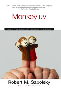 Monkeyluv_cover