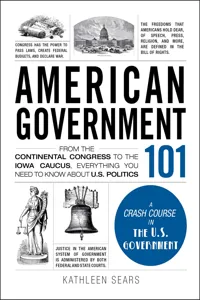 American Government 101_cover