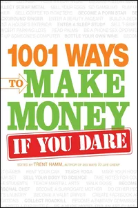 1001 Ways to Make Money If You Dare_cover