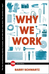 Why We Work_cover