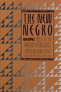 The New Negro_cover