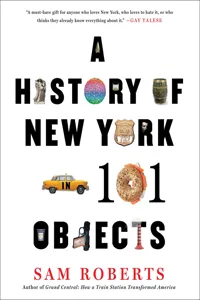 A History of New York in 101 Objects_cover