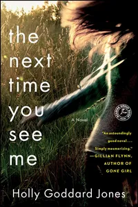 The Next Time You See Me_cover