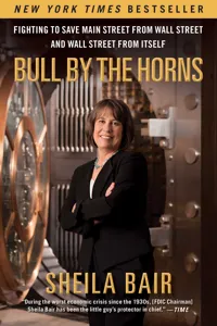 Bull by the Horns_cover