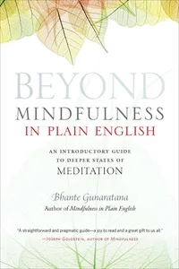 Beyond Mindfulness in Plain English_cover