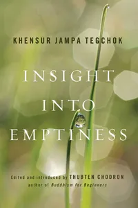 Insight into Emptiness_cover