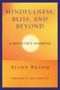 Mindfulness, Bliss, and Beyond_cover