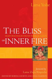 The Bliss of Inner Fire_cover